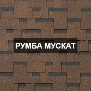 Румба мускат